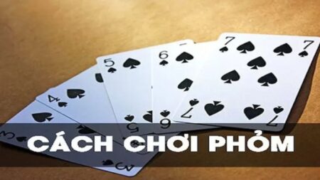 Bạn cần nắm vững cách chơi phỏm các quy tắc cơ bản để chơi game một cách hiệu quả